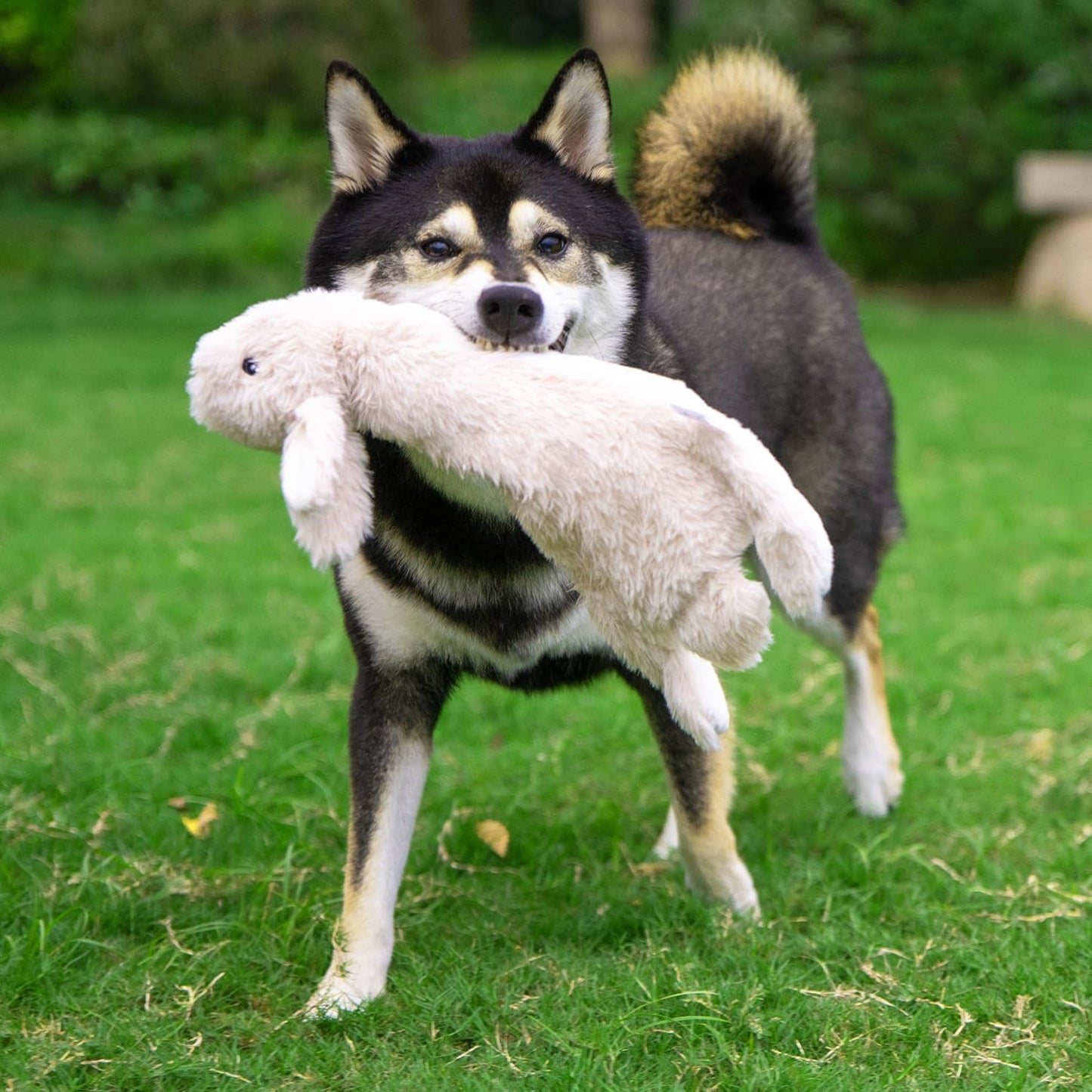Squeaky Dog Toys with Soft Durable Fabric for Small, Medium and Large Pets Interactive Toy for Indoor Play, Supports Active Biting and Play - 4 Figures, Large