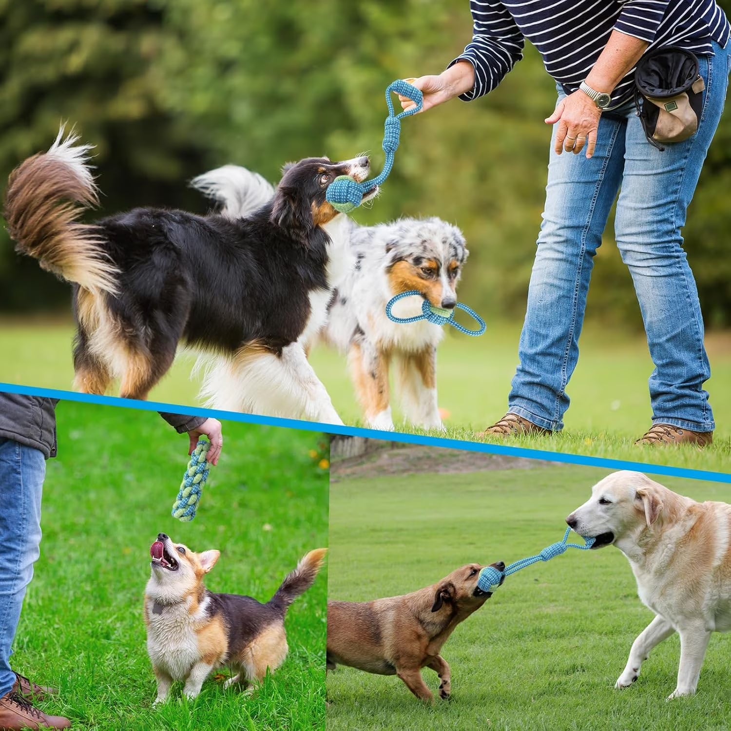 7 Pack Puppy Rope Toys, Dog Rope Toys for Small Dogs, Dog Tug Rope, Puppy Teething Rope for Teeth Cleaning and Chewing, Keep the Dog from Being Bored, Variety of Dog Cotton Rope Toys
