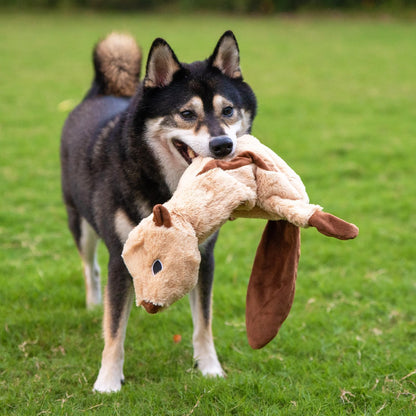 Squeaky Dog Toys with Soft Durable Fabric for Small, Medium and Large Pets Interactive Toy for Indoor Play, Supports Active Biting and Play - 4 Figures, Large
