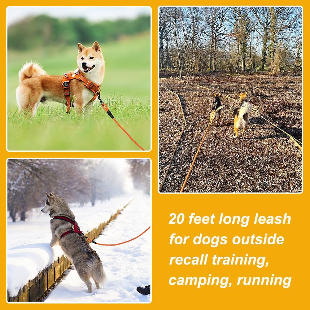 Floating Long Dog Leash, 20Ft Dog Training Leash for outside and Yard, Reflective Long Line Lead with Soft Handle for Beach and Swimming (Orange)