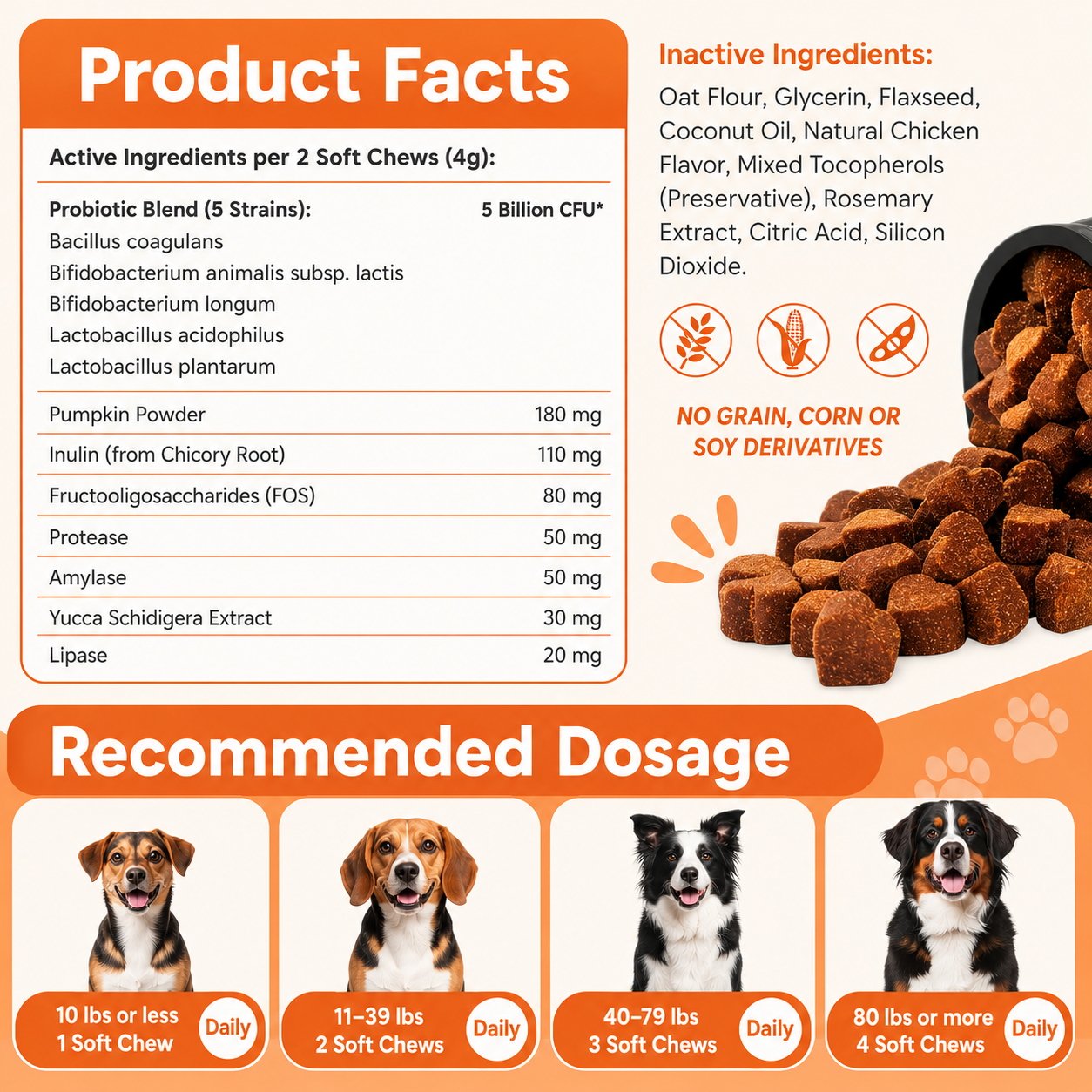 Probiotic Immune & Gut Support Chews - 200 Count