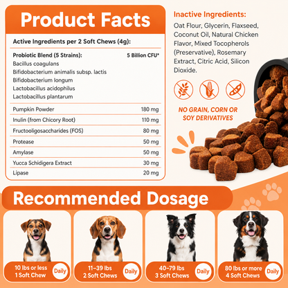 Probiotic Immune & Gut Support Chews - 200 Count