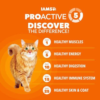 Proactive Health Dry Cat Food Hairball Care, Adult Cat Food, with Real Chicken and Salmon, 16 Lb. Bag