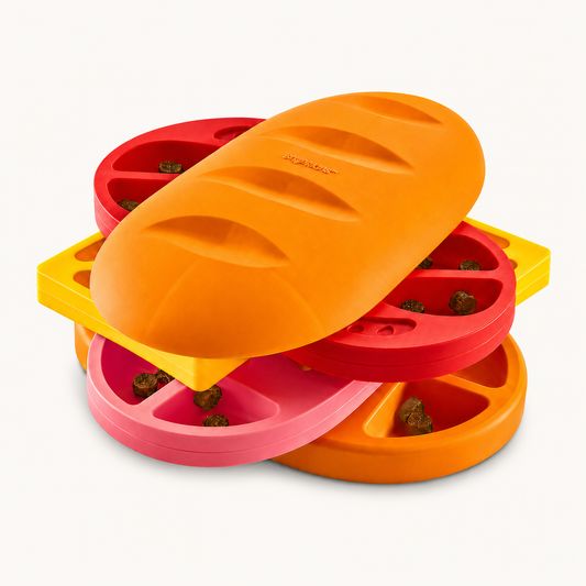 Surprise Treat Puzzle Dog Toy