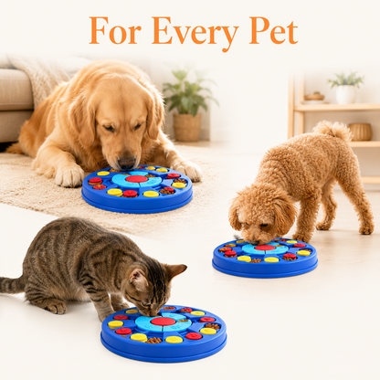Brain Boost Puzzle Feeder