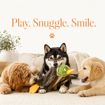 Plush Squeaky Dog Toys - 4 Pack