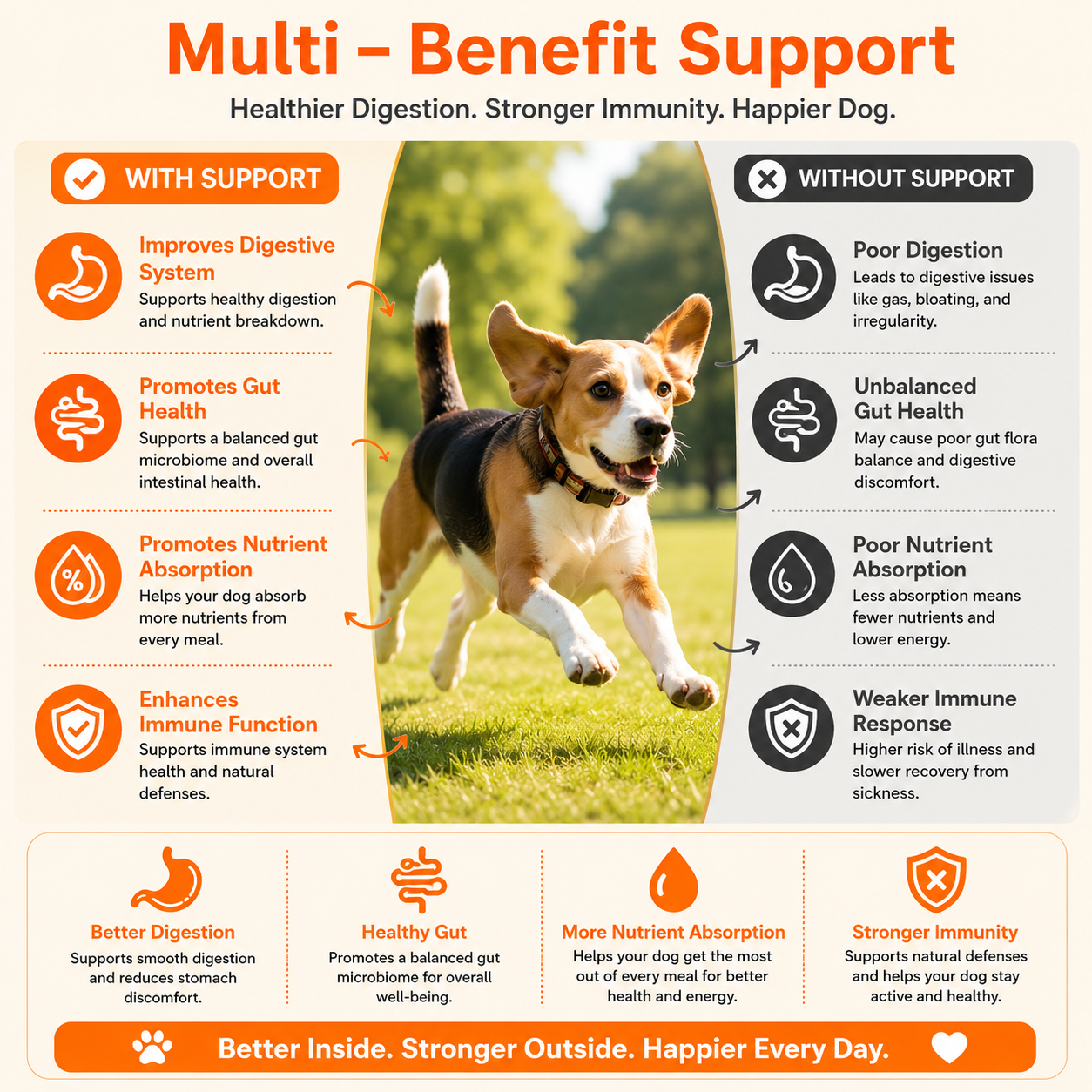 Probiotic Immune & Gut Support Chews - 200 Count