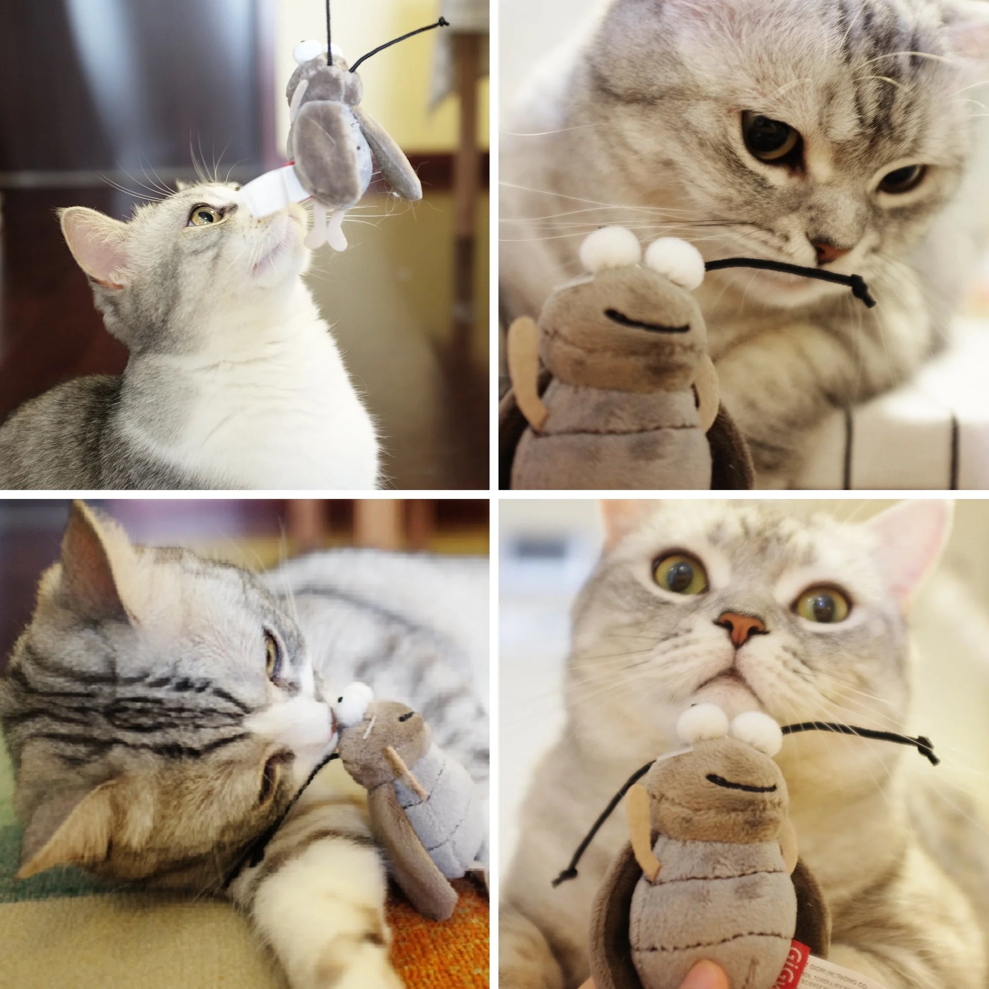 Gigwi Automatic Cat Toys Pack - Interactive Electronic Plush Toys with Bird/Cricket/Mouse Sounds for Indoor Cats to Play Alone and Squeak, 3 Pcs