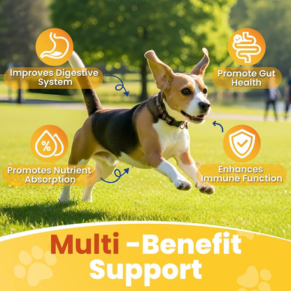 200 Count Probiotic Chew for Dogs-Probiotics Chews for Gut Digestive Health & Itchy Skin Support Relieve Diarrhea Enhance Immunity Breath Freshener with Enzymes Prebiotic Pumpkin-Chicken