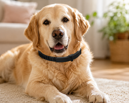 Pheromone Calming Dog Collar - 4 Pack