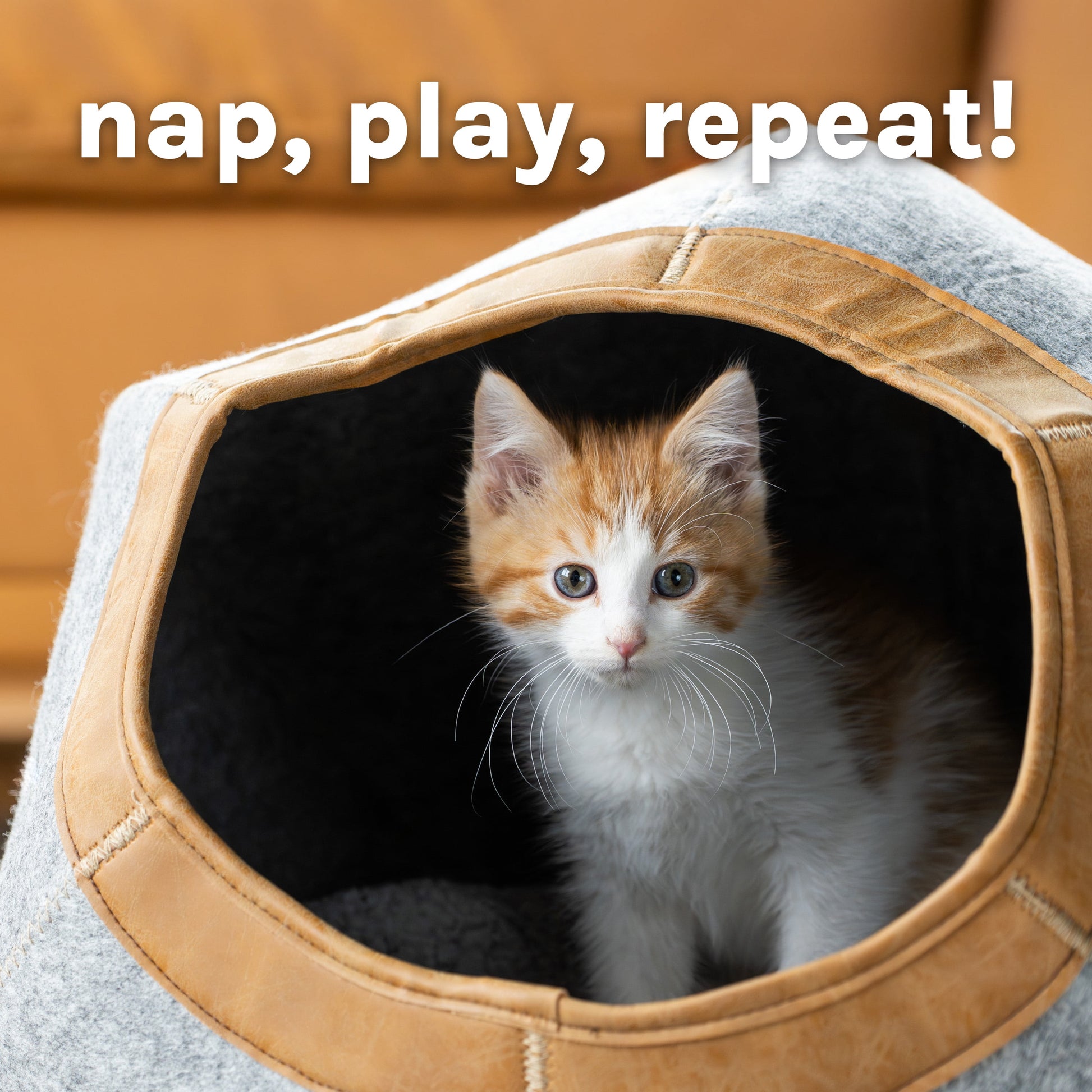 Large Felt Cat Cave with Faux Leather Trim, Washable Cushion, Gray