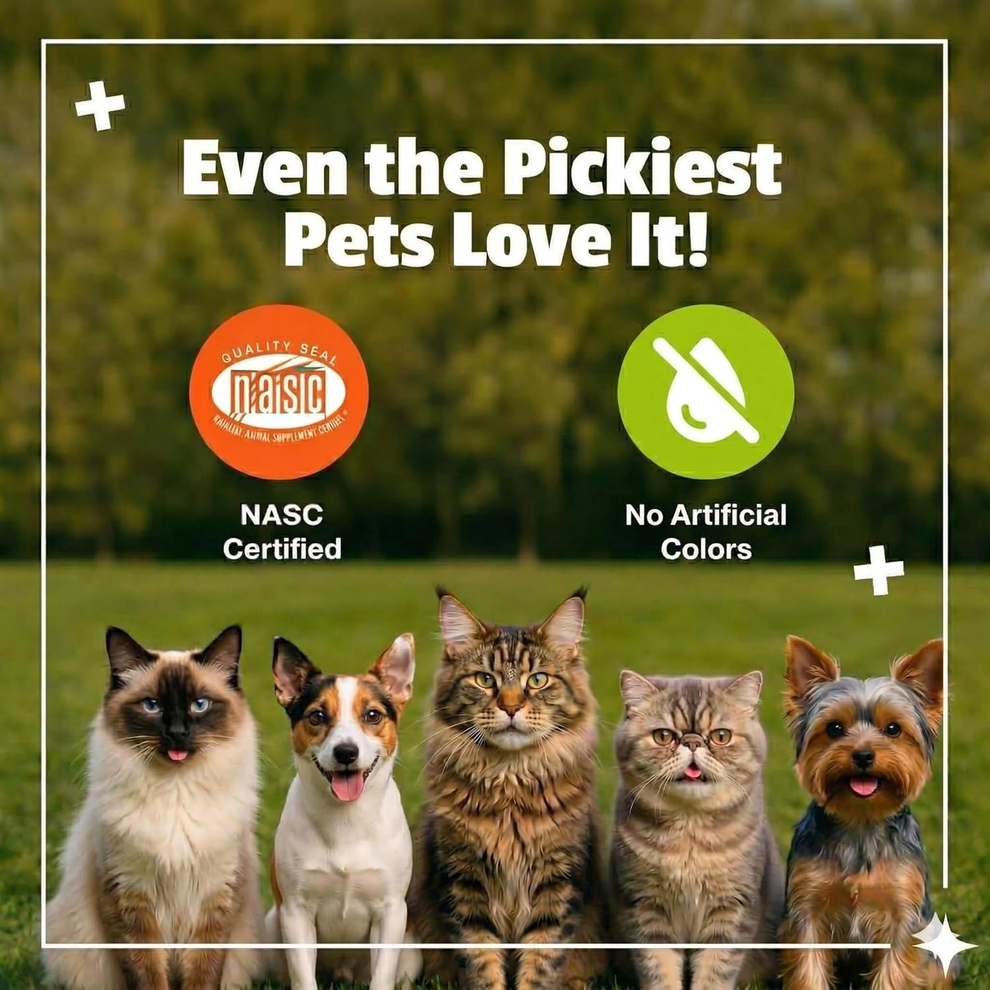 Daily Probiotic Soft Chews for Cats, Digestive and Immune Support Supplement, 100 Million CFU per Chew, Duck, 30 Count