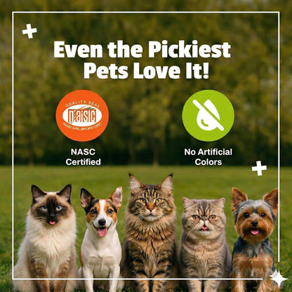 Daily Probiotic Soft Chews for Cats, Digestive and Immune Support Supplement, 100 Million CFU per Chew, Duck, 30 Count