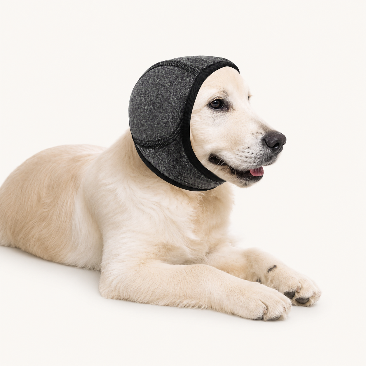 Calming Noise-Cancelling Ear Muffs for Dogs