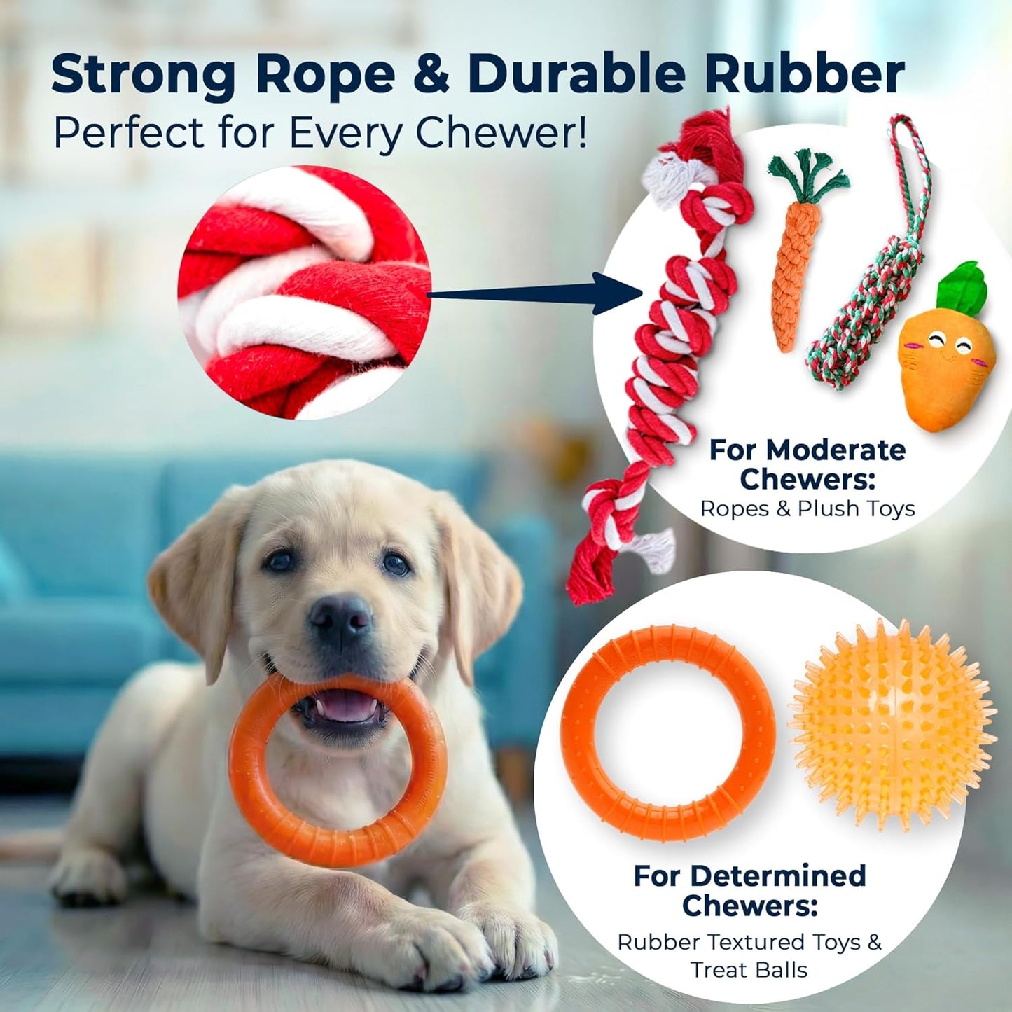 9-Pack Dog Toys for Small & Medium Dogs – Puppy Toys Set with Rope Toys, Chew Toys, Tug Toys, Plush & Squeaky Toys – Dog Toy Variety Pack