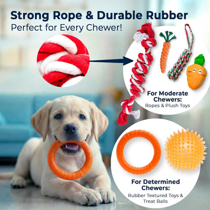 9-Pack Dog Toys for Small & Medium Dogs – Puppy Toys Set with Rope Toys, Chew Toys, Tug Toys, Plush & Squeaky Toys – Dog Toy Variety Pack