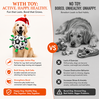 Interactive Soccer Ball Dog Toy