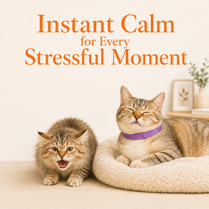 Pheromone Calming Collar for Cats - 4 Pack