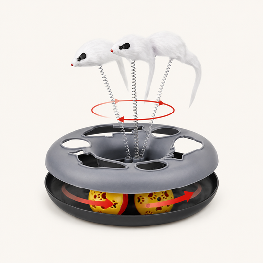 Roller Track & Spring Cat Exercise Toy