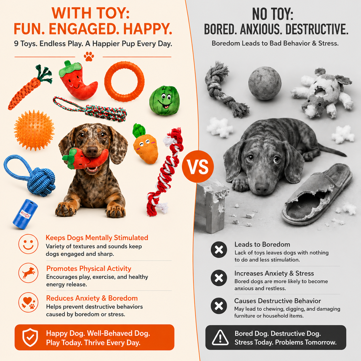 9-Piece Dog Toy Variety Pack