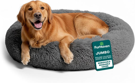 Large dog relaxing curled up in a plush calming donut bed at home