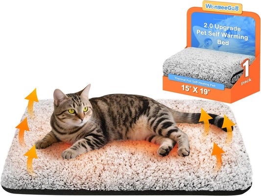 Cat sleeping cozily on a warm self-heating bed mat in soft light