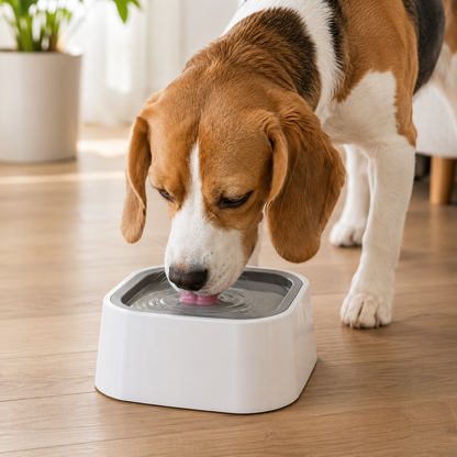 No-Spill Floating Dog Water Bowl