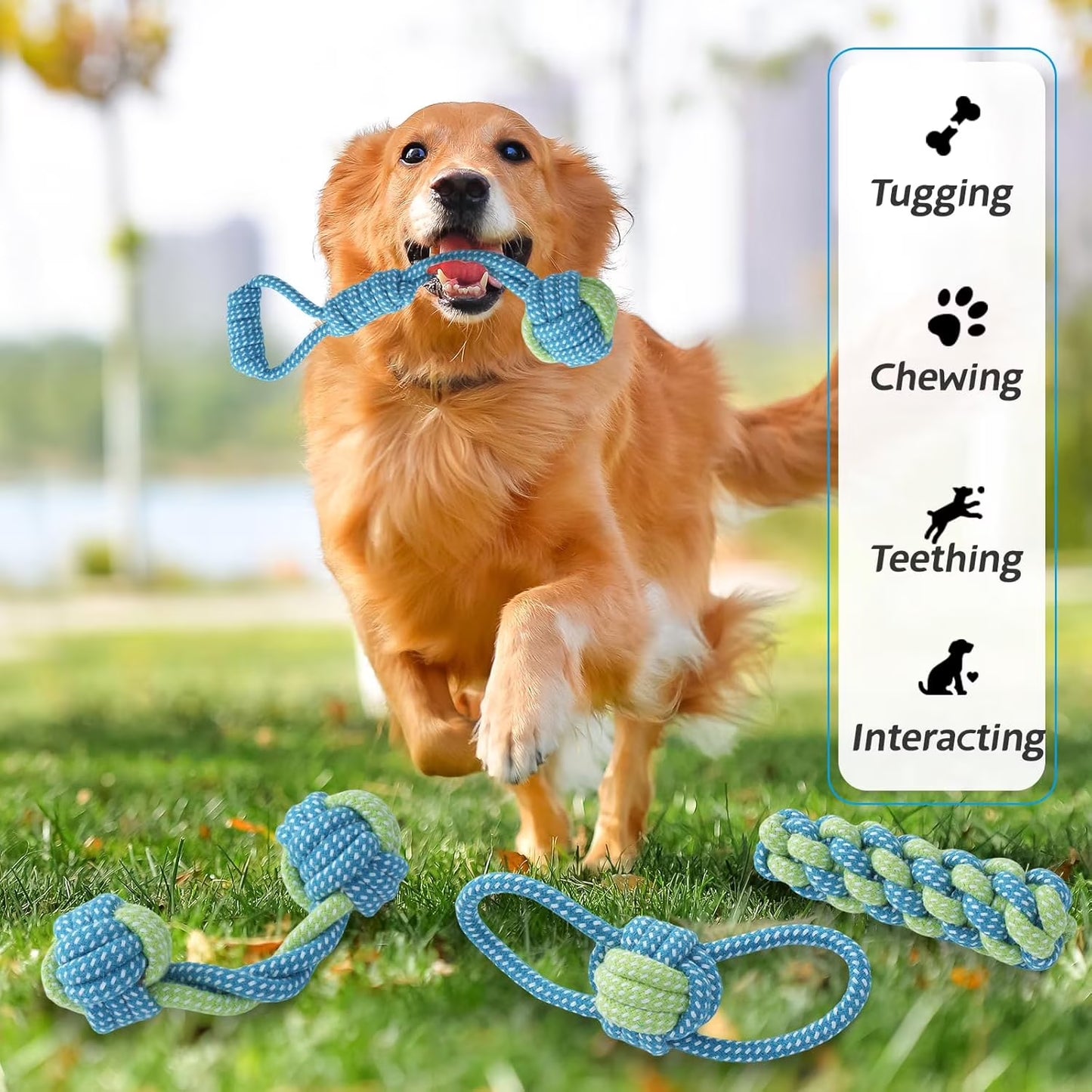 7 Pack Puppy Rope Toys, Dog Rope Toys for Small Dogs, Dog Tug Rope, Puppy Teething Rope for Teeth Cleaning and Chewing, Keep the Dog from Being Bored, Variety of Dog Cotton Rope Toys