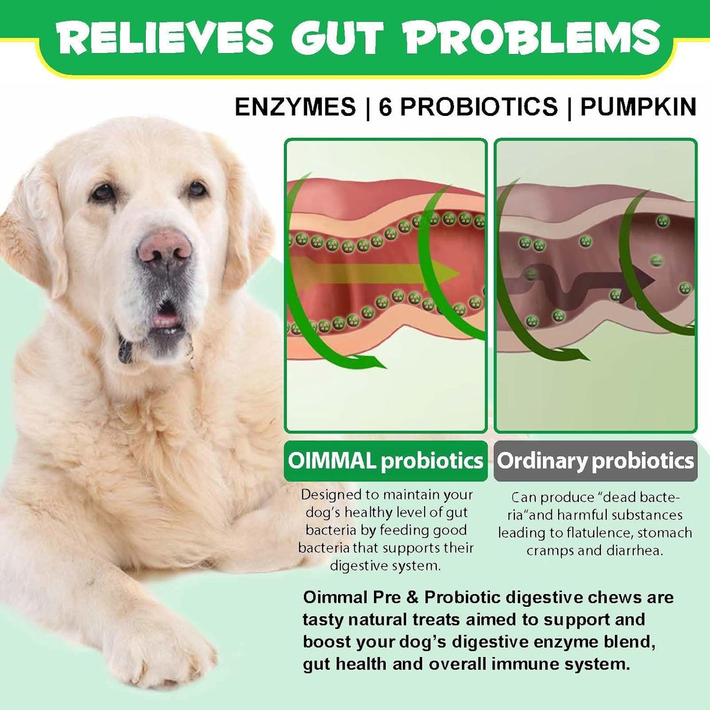 Probiotics for Dogs, 120 Chews Dog Probiotics Treats, Digestive Treats Dogs and Digestive Enzymes, Dog Digestive Health Gut, Immune Bowel Support, Reduce Diarrhea, Gas, Itchy Relief
