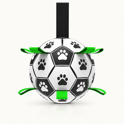 Interactive Soccer Ball Dog Toy