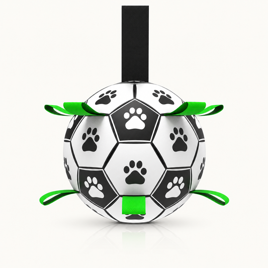 Interactive Soccer Ball Dog Toy