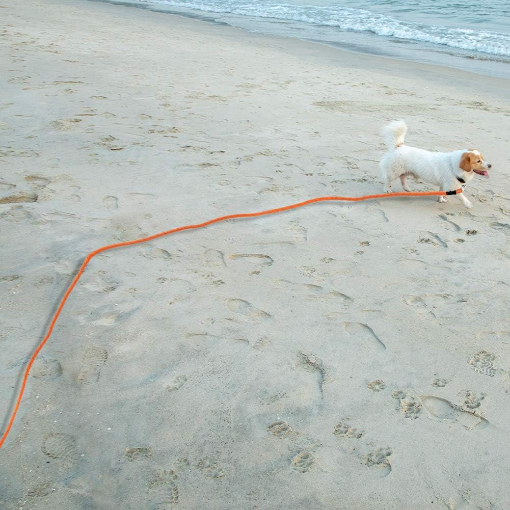 Floating Long Dog Leash, 20Ft Dog Training Leash for outside and Yard, Reflective Long Line Lead with Soft Handle for Beach and Swimming (Orange)