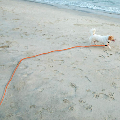 Floating Long Dog Leash, 20Ft Dog Training Leash for outside and Yard, Reflective Long Line Lead with Soft Handle for Beach and Swimming (Orange)